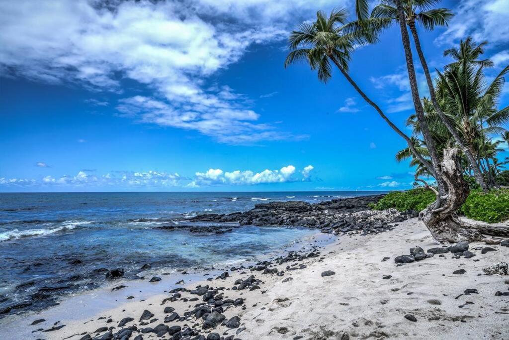 Newly Upgraded 1Br Unit Near Beach Max Of 5 Guests Kailua-Kona Eksteriør bilde