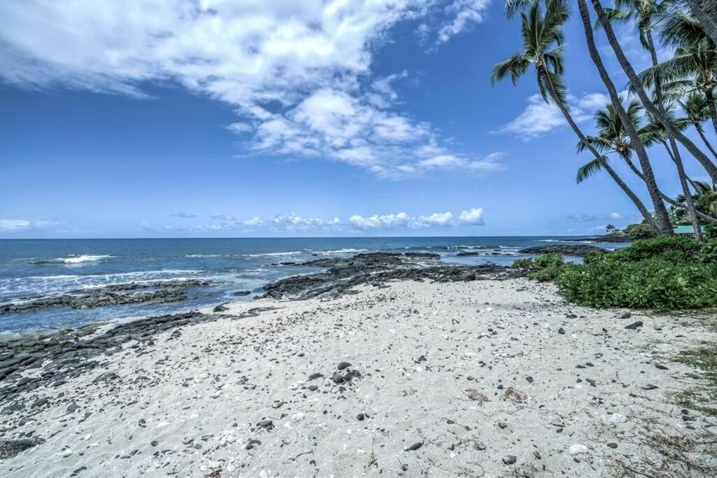 Newly Upgraded 1Br Unit Near Beach Max Of 5 Guests Kailua-Kona Eksteriør bilde