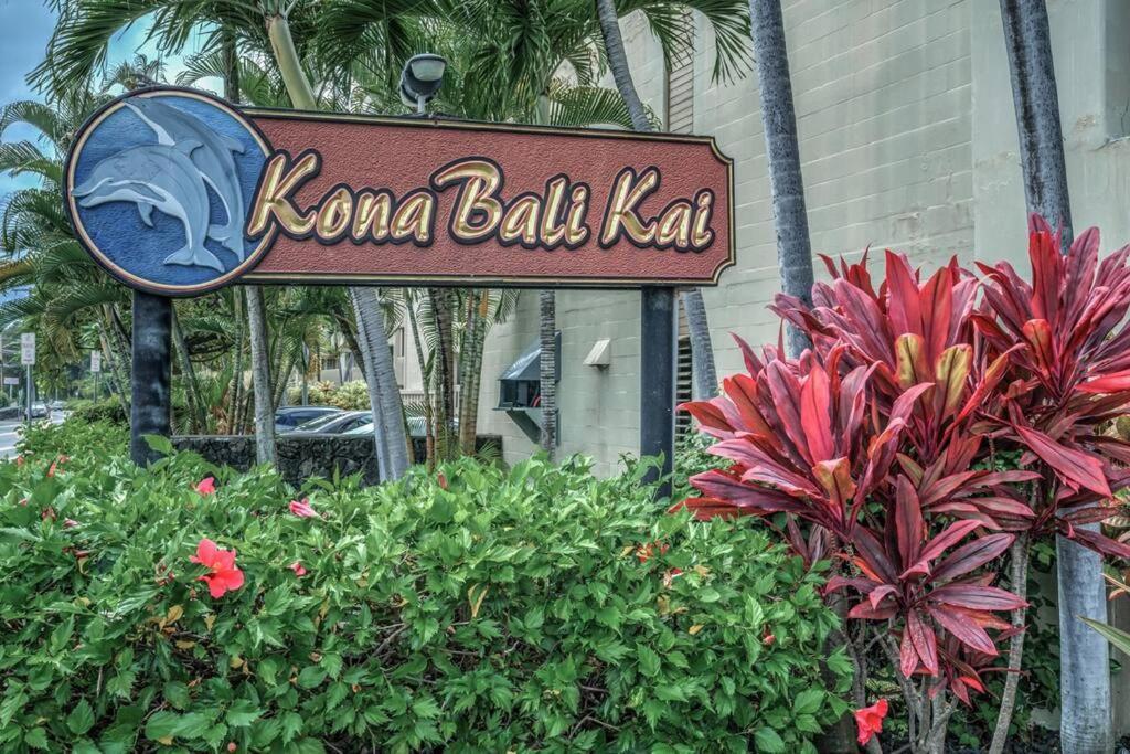 Newly Upgraded 1Br Unit Near Beach Max Of 5 Guests Kailua-Kona Eksteriør bilde