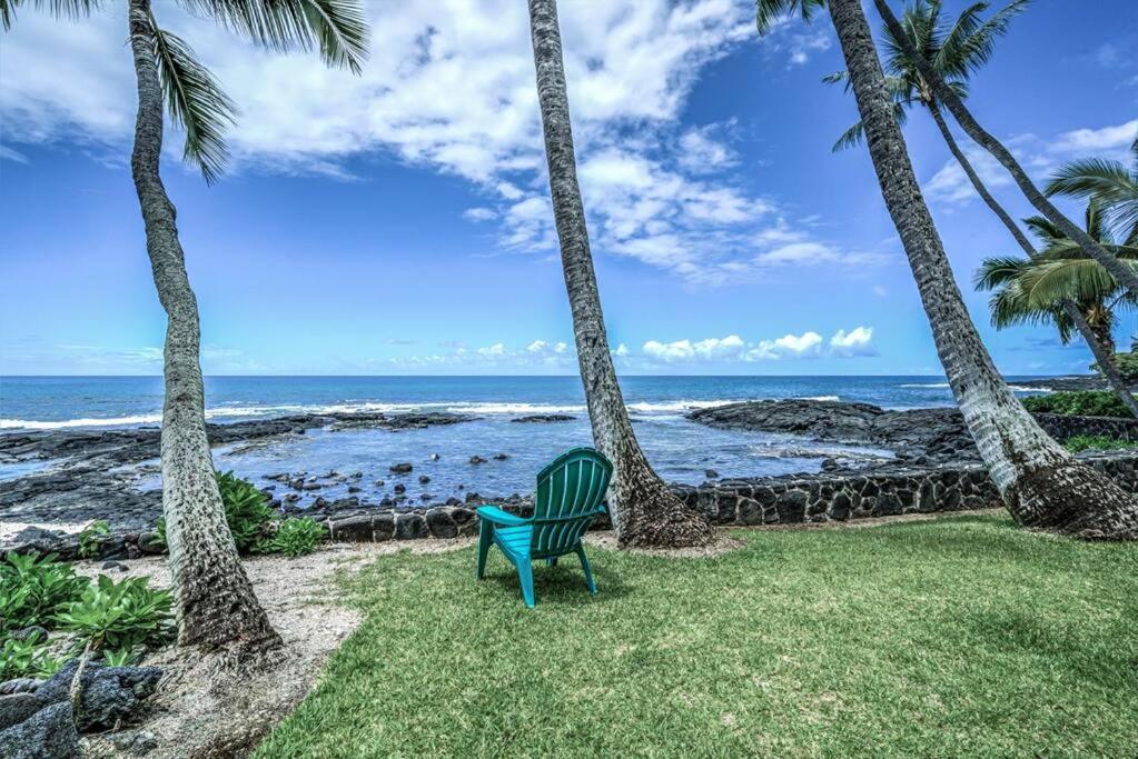 Newly Upgraded 1Br Unit Near Beach Max Of 5 Guests Kailua-Kona Eksteriør bilde