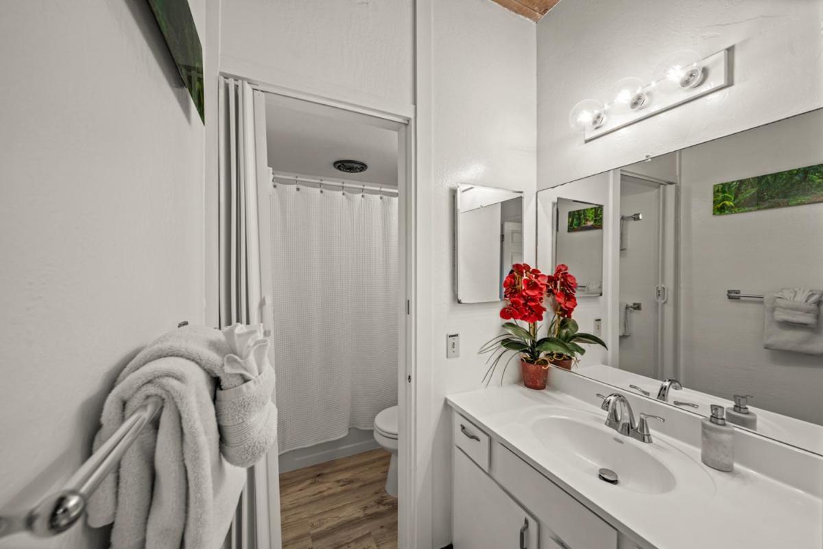 Newly Upgraded 1Br Unit Near Beach Max Of 5 Guests Kailua-Kona Eksteriør bilde